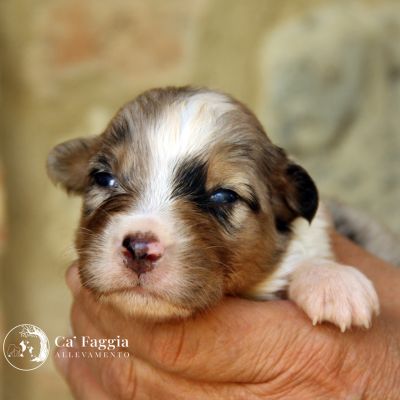 t-mbm-zeus-img-52279A812F18-2FFF-7871-99A6-EBC43F1D0D8B.jpg