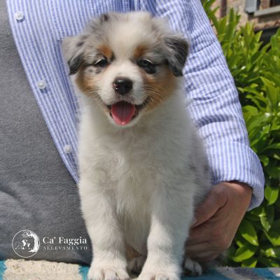 mbm-6-img-53603D3F7056-3DC9-7340-4C86-5AC98251F5B7.jpg