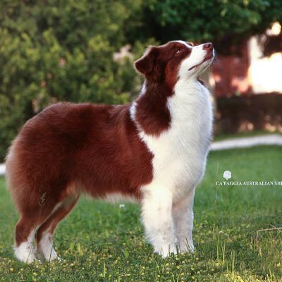 02-coffee-3-anniD343B6DC-8C26-1C31-138A-2E9B2BB80BEF.jpg